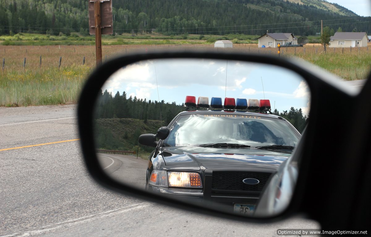 Guide to Understanding Roadside Tests