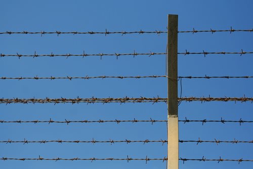 A Guide to the Criminal Division