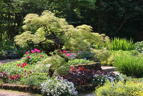 United States Botanic Garden Quick Facts