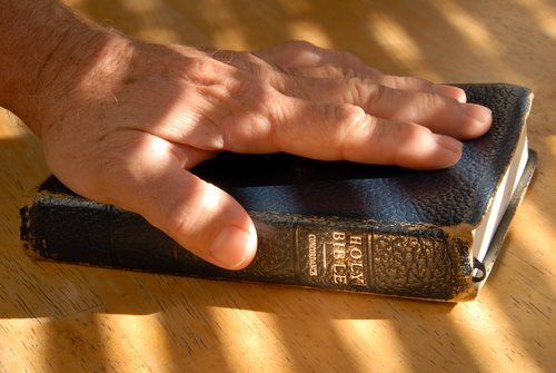 Learn the Oath Of Allegiance Here!