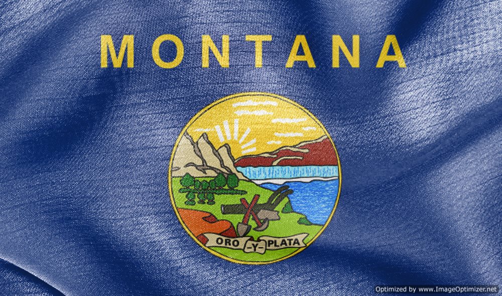 Southern Montana Electric Files for Bankruptcy