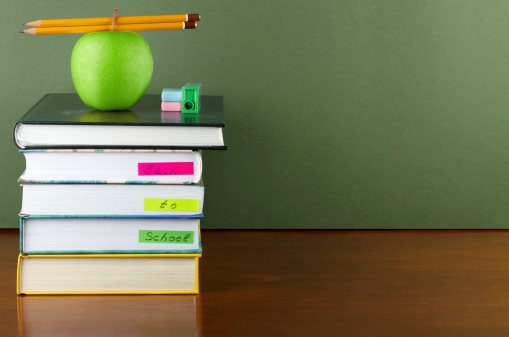 Ireland Department of Education and Science