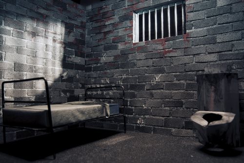 The Use of Life Imprisonment