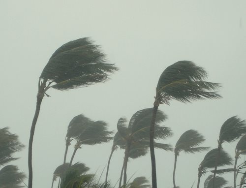 Update Tax Relief for Hurricane Isaac