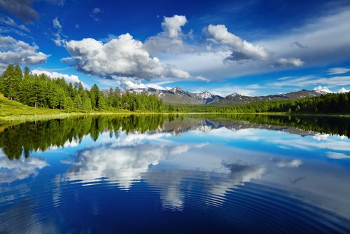 Michigan and Ohio Receive Grants to Improve Water and Algal Blooms in Great Lakes