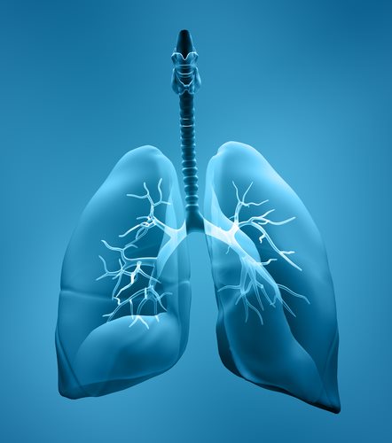 Epithelioid Mesothelioma