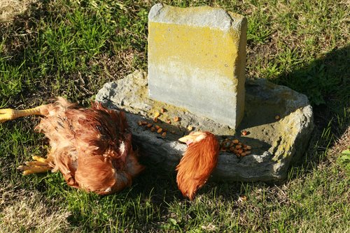 Santería