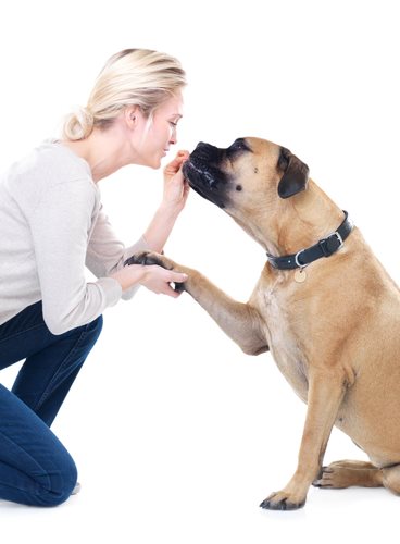 Carolina Prime Pet Inc Recalls All Natural Bullstrips