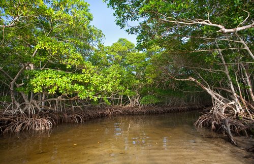 Florida’s Rules against Nutrient Pollution Approved