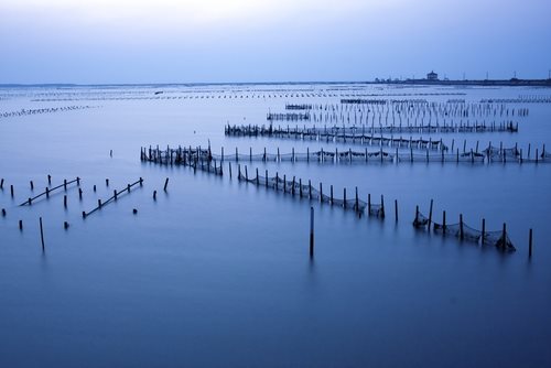 A Northern California Oyster Farms Comes to an End