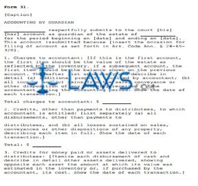 Form 31 Accounting by Guardian (SAMPLE)