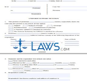 Form Uniform Support Petition