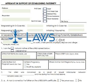 Form 04-1604 Affidavit Support Establishing Paternity