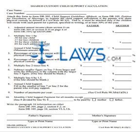 Form DR-306 Shared Custody Child Support Calculation 