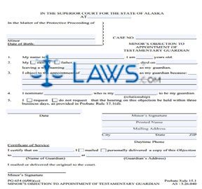 Minor's Objection to Appointment of Testamentary Guardian