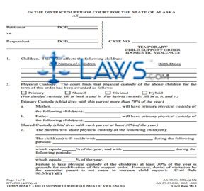 Temporary Child Support Order (Domestic Violence)