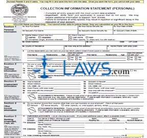 Form 10896 Collection Information Statement Personal
