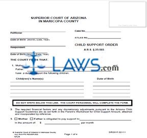 Form DRS81f Child Support Order 