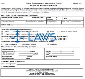 Form IB13 Provider Screening Form
