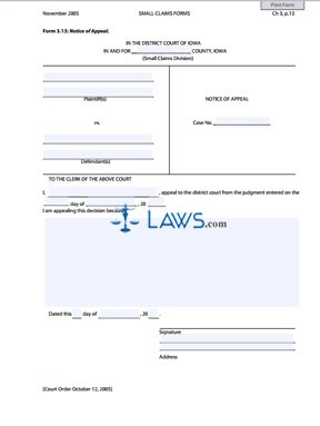 Form 3.13 Notice of Appeal