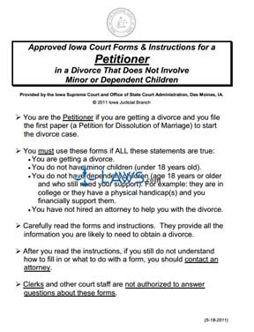 Form Petitioner in a Divorce That Does Not Involve Minor or Dependent Children (Packet)