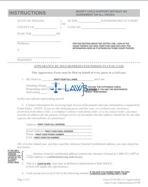 Form Modified Child Support Without an Agreement on All Issues 