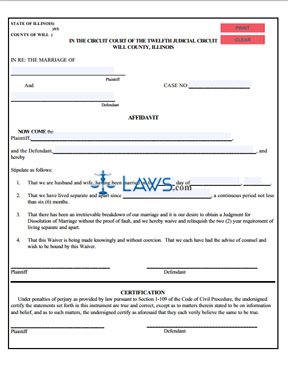 Form 8C Affidavit (Dissolution of Marriage) (Will County) 