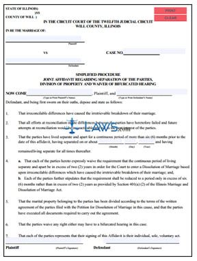 Form 49B Simplified Procedure Joint Affidavit Regarding the Separation of Parties (Will County) 