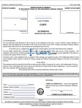 Form 3254-C Circuit Court Summons Domestic Relations Copy (DuPage County) 