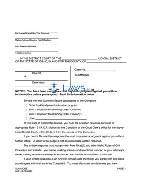 Form CAO 1-1B Divorce or Custody Summons 