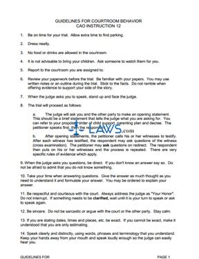 Guidelines for Courtroom Behavior CAO Inst 12