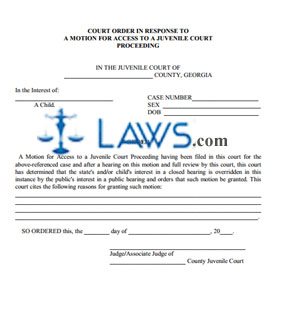 Court Order in Response to a Motion for Access (granting)