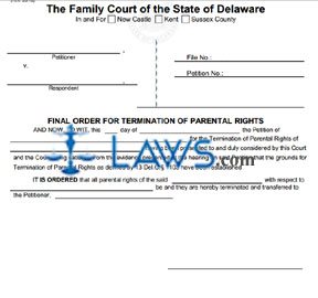 Final Order for Termination of Parental Rights (fill in)