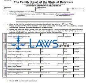 Custody Separate Statement (Fill-in) 