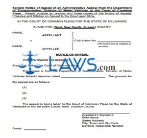 Notice of Appeal - Motor Vehicle