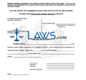 Justice of the Peace Court Civil Appeals Plaintiff Below Instructions