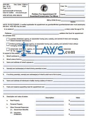 Form 852 Petition For Appointment of Guardian/Conservator for Minor