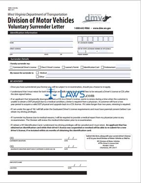 Form DMV-123-VSL Voluntary Surrender Letter