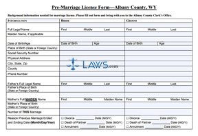 Form Pre-marriage-license-form - Albany County