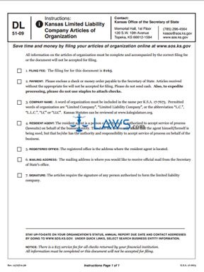 Form LLC1011 Articles of Organization 
