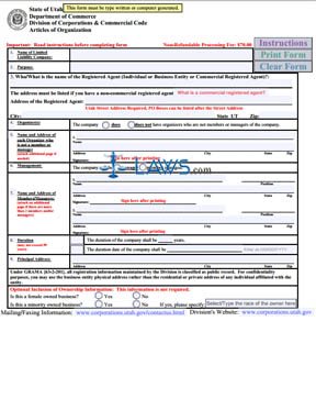 Form Articles of Organization (Domestic LLC)