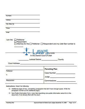 Form Parenting Plan
