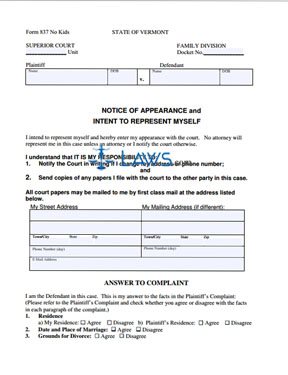 Answer to Divorce Complaint & Counterclaim NO KIDS
