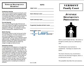 Juvenile Delinquency Proceedings Pamphlet