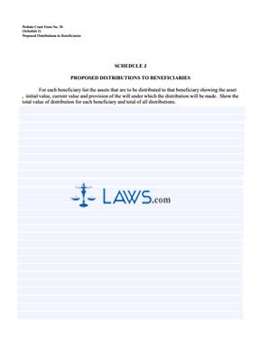 Summary of Account of Executor ~ Schedule J