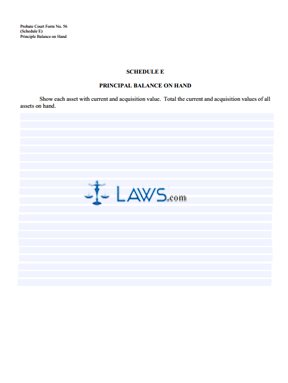 Summary of Account of Executor ~ Schedule E