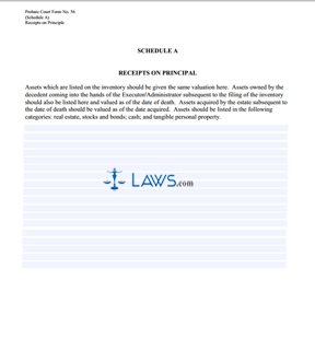 Summary of Account of Executor ~ Schedule A