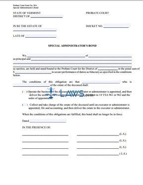 Special Administrator's Bond