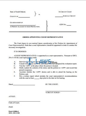 Form 5-309a4 Order Appointing Court Representative