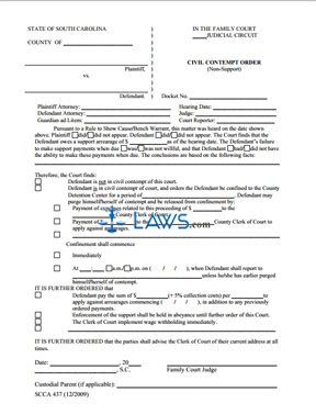 Civil Contempt Order (Non-Support)